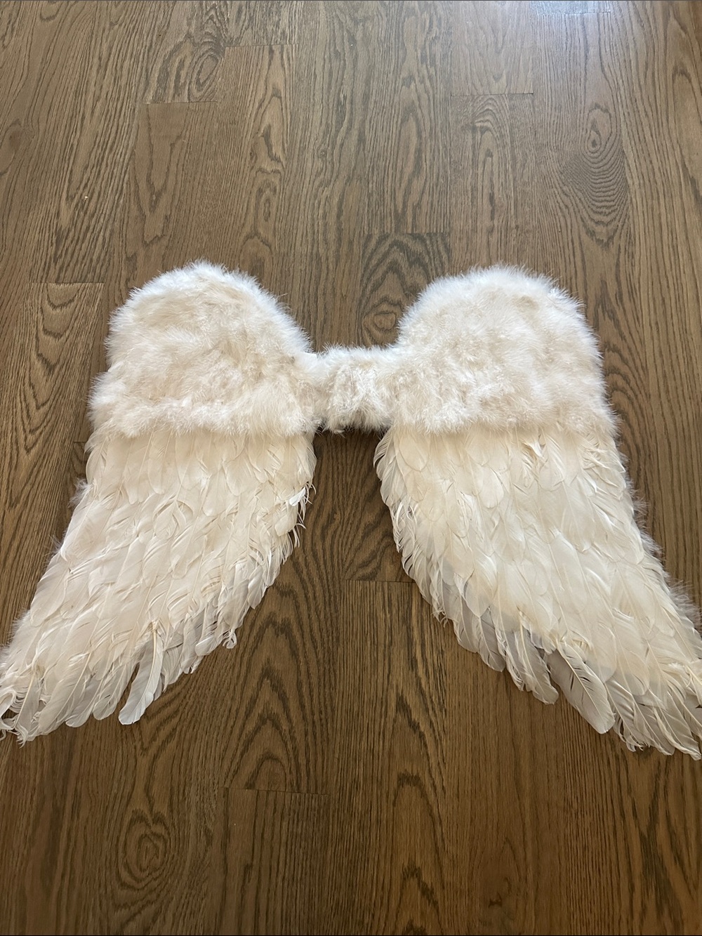 White Feather Angel Wings
